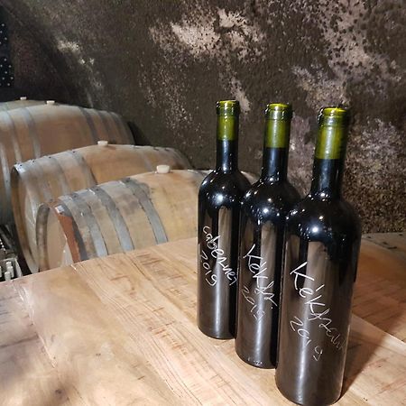 HegymagasGrand Cru 3. Vendeghaz别墅 外观 照片