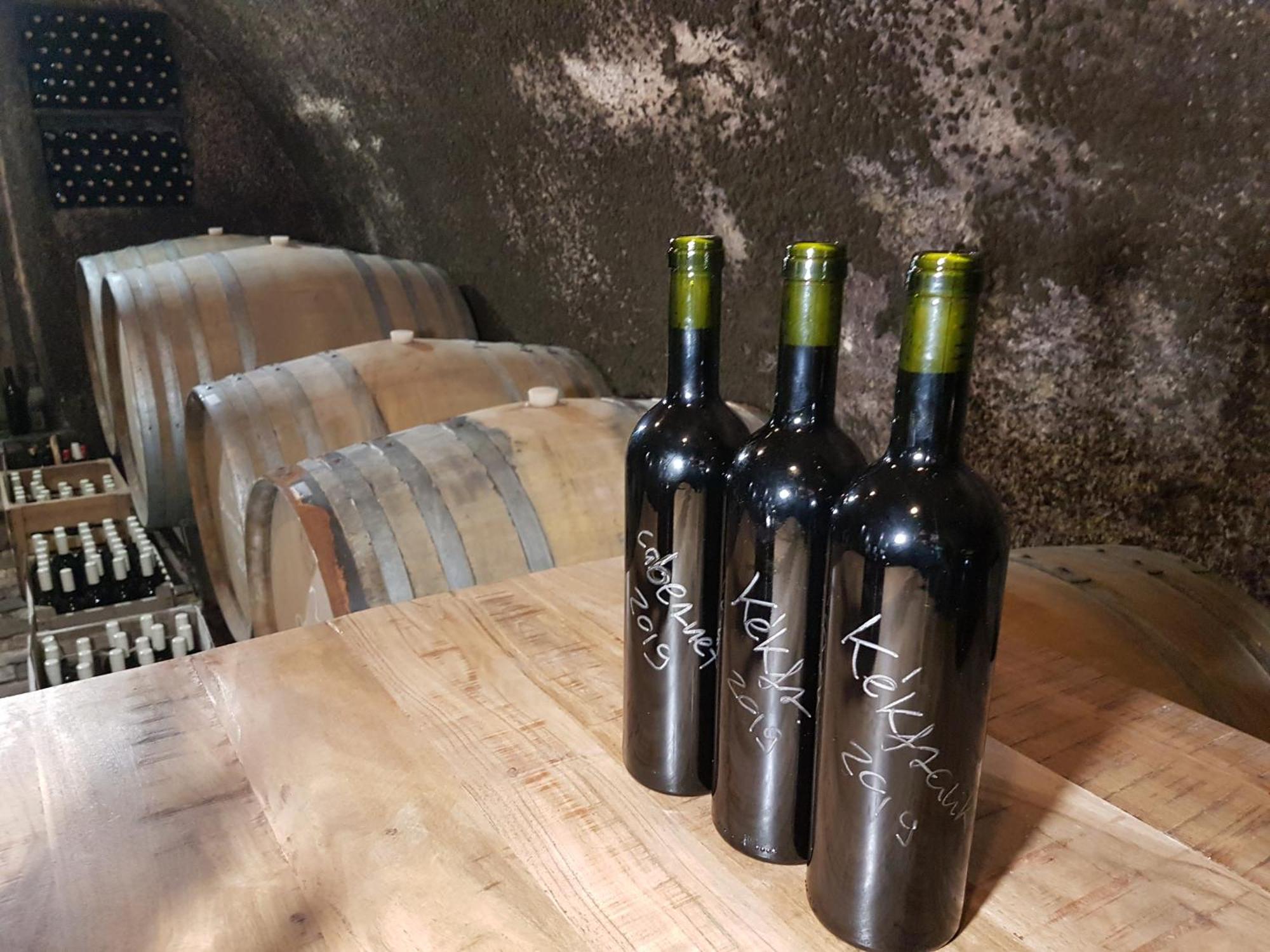 HegymagasGrand Cru 3. Vendeghaz别墅 外观 照片