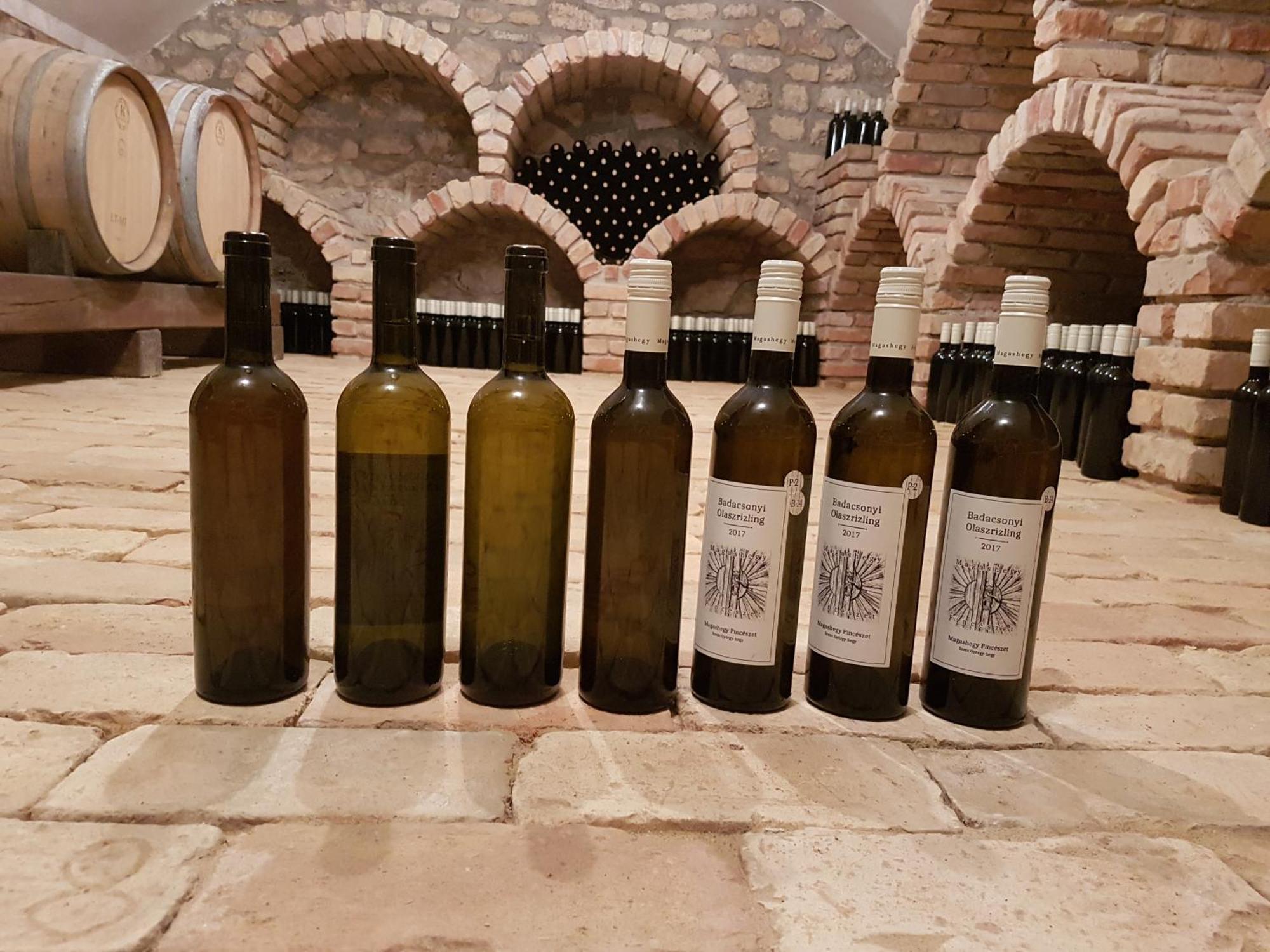 HegymagasGrand Cru 3. Vendeghaz别墅 外观 照片